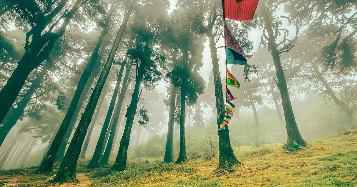 Best Time to Visit Darjeeling: A Season-by-Season Guide