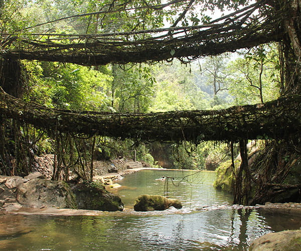 Meghalaya