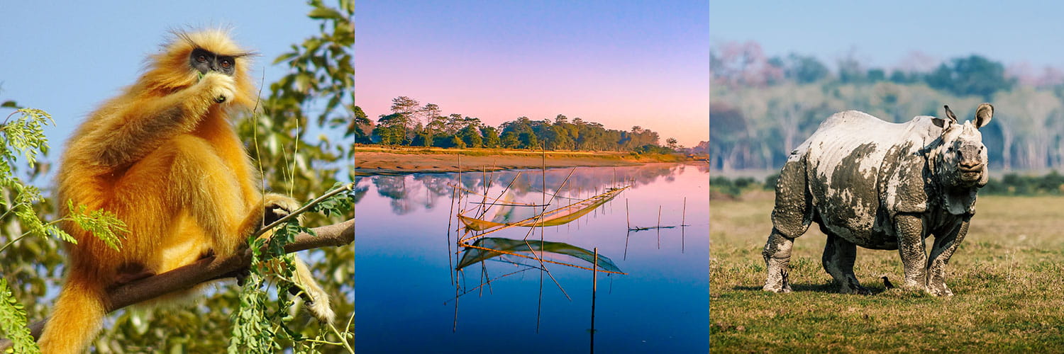 Assam Places to Visit