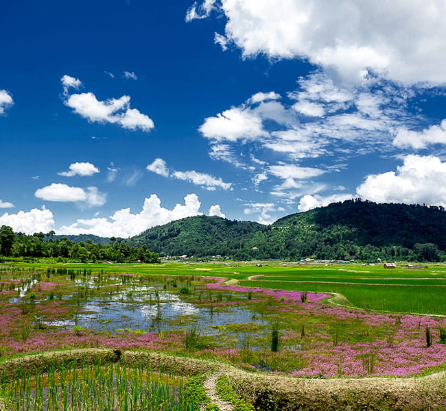 Arunachal Pradesh