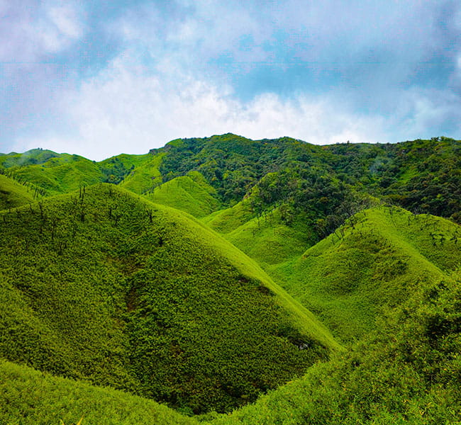 Nagaland Travel Guide