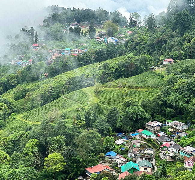 Darjeeling Travel Guide