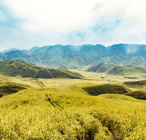 Mystical Nagaland 7 Days